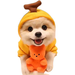 Cute And Cozy Costumes For Pet