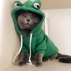 Cute And Cozy Costumes For Pet