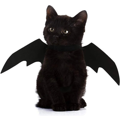 Halloween cute pet costumes